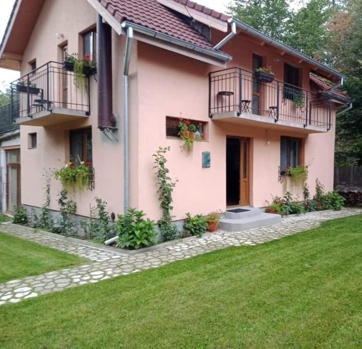 Casa Iulia & Matei Villa Cartisoara Exterior photo