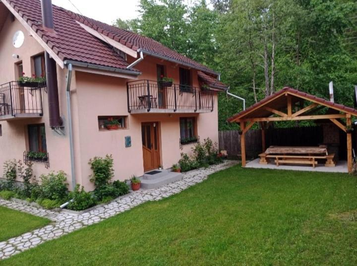 Casa Iulia & Matei Villa Cartisoara Exterior photo