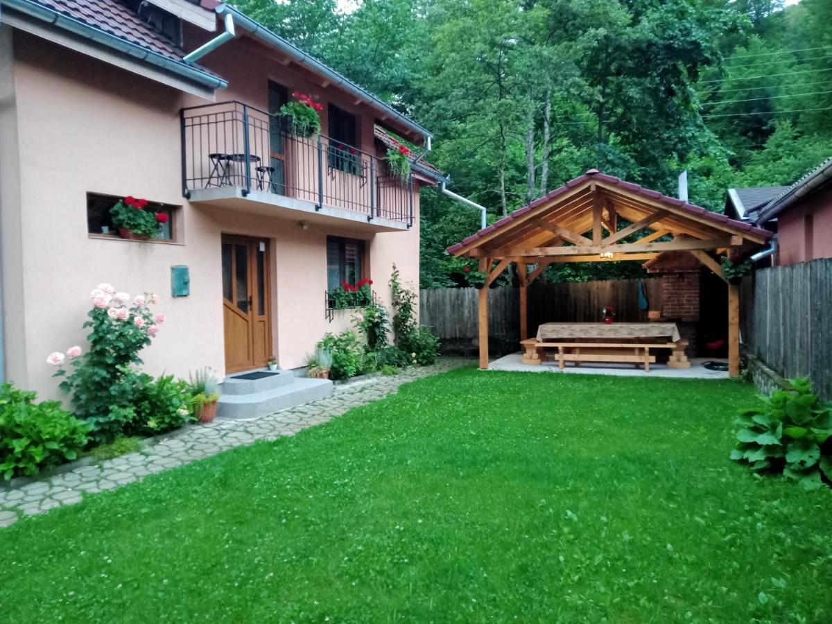 Casa Iulia & Matei Villa Cartisoara Exterior photo