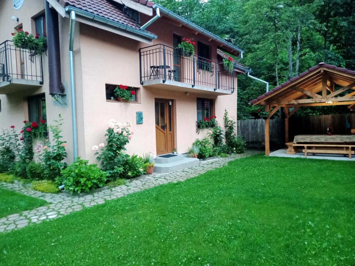 Casa Iulia & Matei Villa Cartisoara Exterior photo