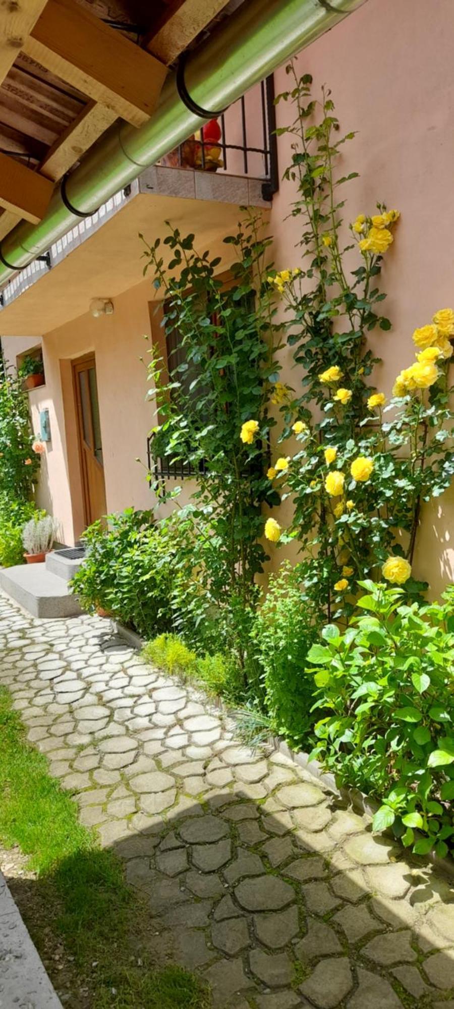 Casa Iulia & Matei Villa Cartisoara Exterior photo